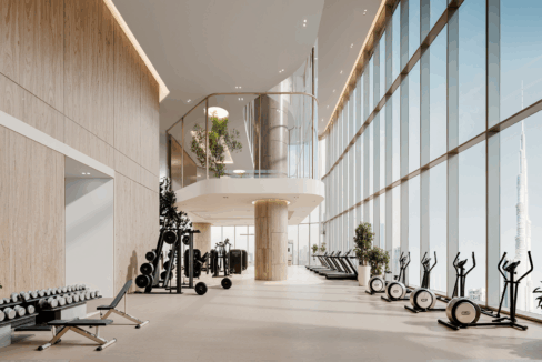 HOUSE OF WELLNESS FITNESS GYM